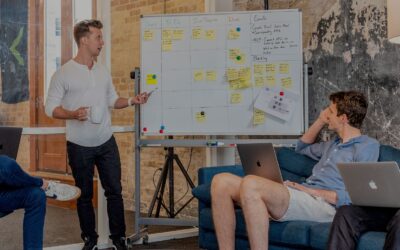 Professional Scrum Master